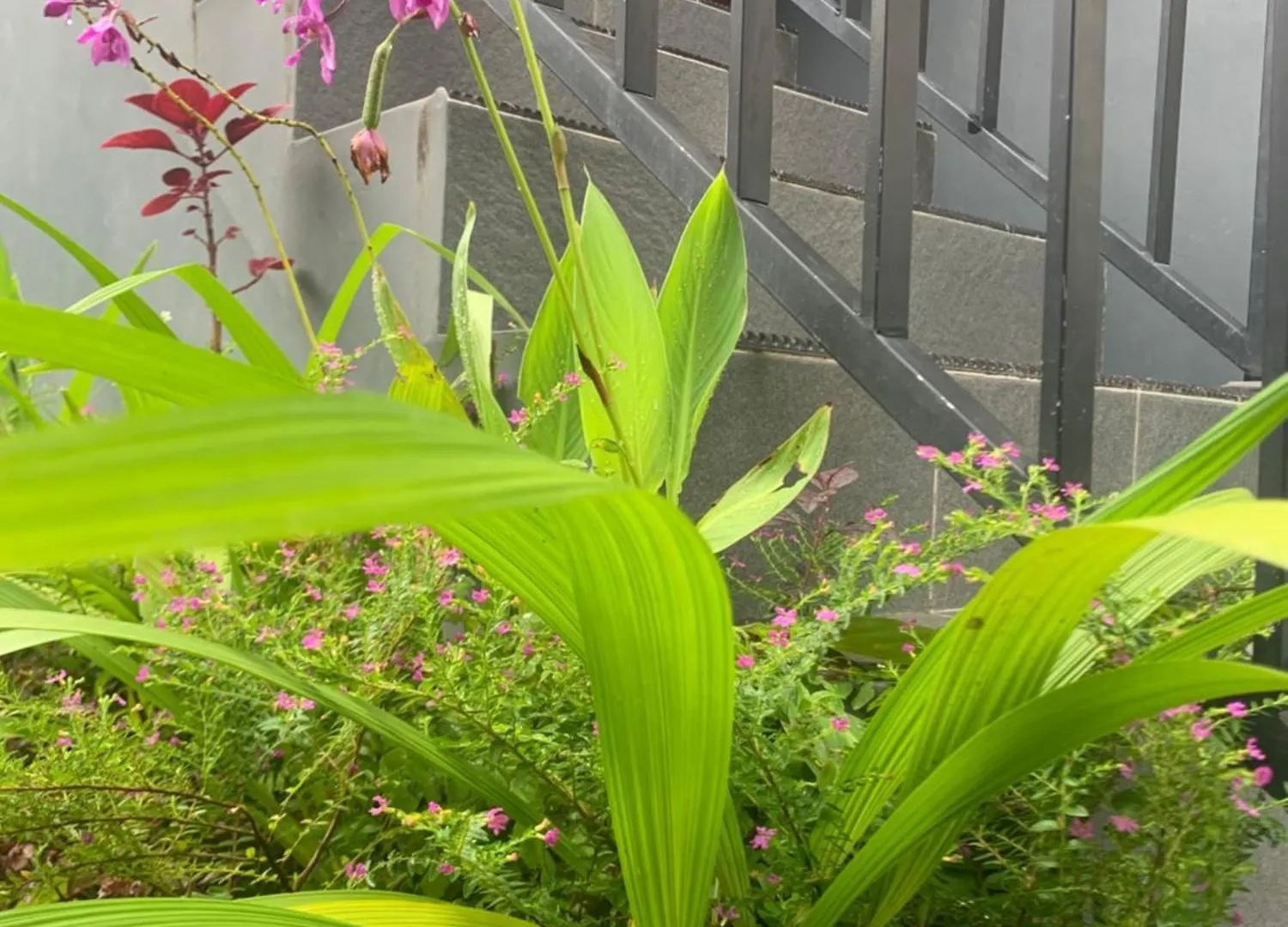 Home Stay Evo Ubud Séjour chez l'habitant